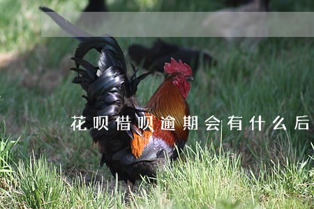 花呗借呗逾期会有什么后果 花呗借呗逾期会有什么后果