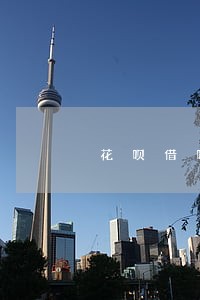 花呗借呗逾期会有催收电话吗 花呗借呗逾期会有催收电话吗