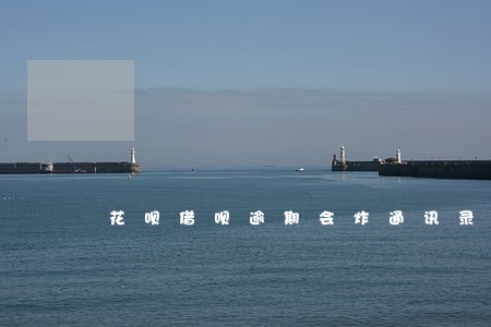 花呗借呗逾期会炸通讯录吗 花呗借呗逾期会炸通讯录吗