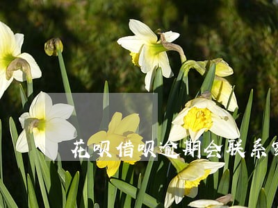 花呗借呗逾期会联系家属吗 花呗借呗逾期会联系家属吗