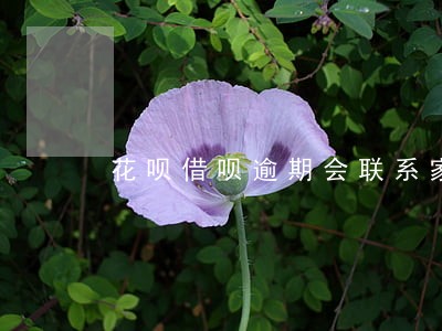 花呗借呗逾期会联系家里人嘛6 花呗借呗逾期会联系家里人嘛6