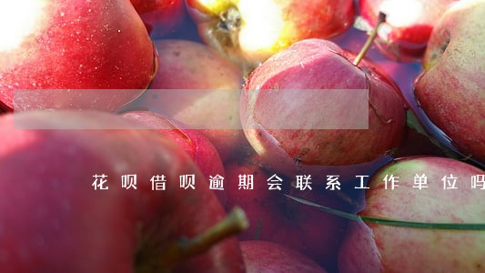 花呗借呗逾期会联系工作单位吗 花呗借呗逾期会联系工作单位吗