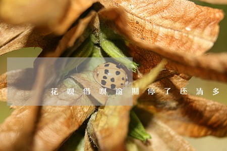 花呗借呗逾期停了还清多久会开 花呗借呗逾期停了还清多久会开