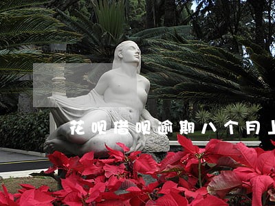 花呗借呗逾期八个月上失信名单不 花呗借呗逾期八个月上失信名单不
