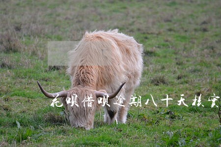 花呗借呗逾期八十天核实信息 花呗借呗逾期八十天核实信息