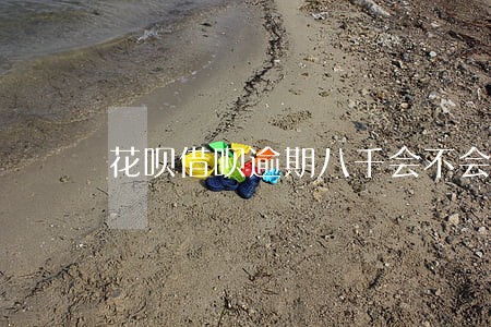 花呗借呗逾期八千会不会上门 花呗借呗逾期八千会不会上门
