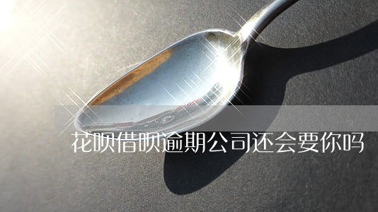 花呗借呗逾期公司还会要你吗 花呗借呗逾期公司还会要你吗