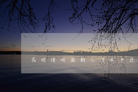 花呗借呗逾期六万其中还了一万多 花呗借呗逾期六万其中还了一万多