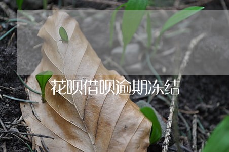 花呗借呗逾期冻结 花呗借呗逾期冻结