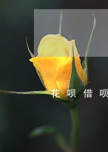 花呗借呗逾期冻结要多久能解开 花呗借呗逾期冻结要多久能解开