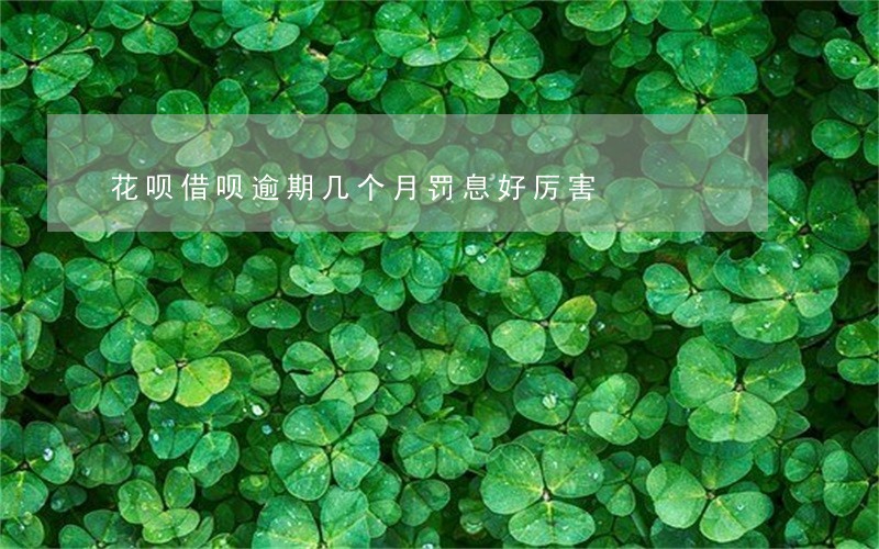 花呗借呗逾期几个月罚息好厉害 花呗借呗逾期几个月罚息好厉害