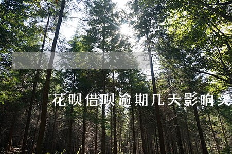 花呗借呗逾期几天影响买房吗 花呗借呗逾期几天影响买房吗