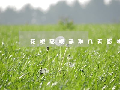 花呗借呗逾期几天影响大吗 花呗借呗逾期几天影响大吗