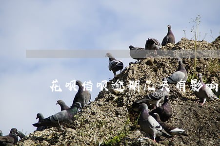 花呗借呗逾期几天有影响吗 花呗借呗逾期几天有影响吗