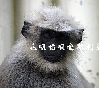 花呗借呗逾期利息 花呗借呗逾期利息
