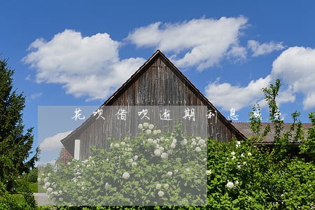 花呗借呗逾期利息减免 花呗借呗逾期利息减免