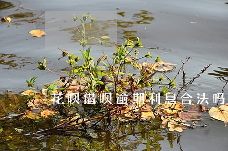 花呗借呗逾期利息合法吗 花呗借呗逾期利息合法吗