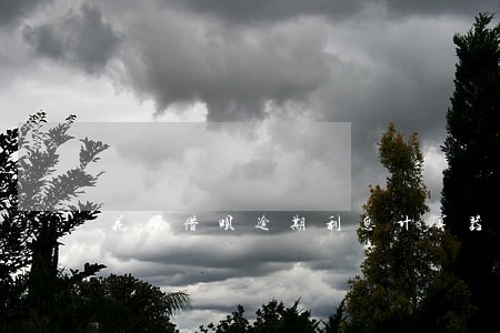 花呗借呗逾期利息计算器 花呗借呗逾期利息计算器