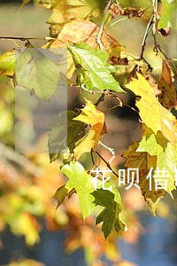 花呗借呗逾期利息还会上涨吗 花呗借呗逾期利息还会上涨吗