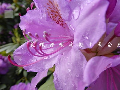 花呗借呗逾期十天会怎样 花呗借呗逾期十天会怎样