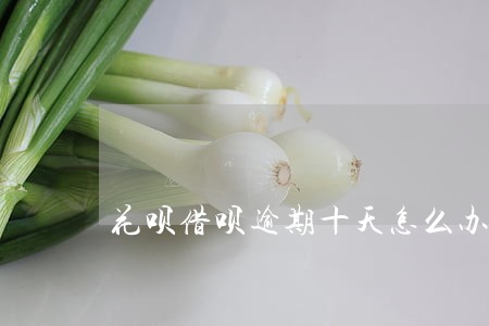 花呗借呗逾期十天怎么办 花呗借呗逾期十天怎么办