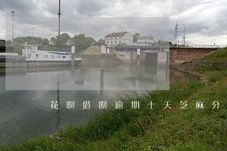 花呗借呗逾期十天芝麻分扣多少 花呗借呗逾期十天芝麻分扣多少