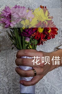 花呗借呗逾期半年12万 花呗借呗逾期半年12万