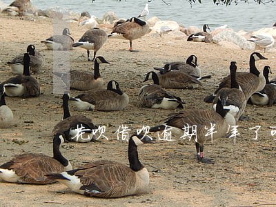 花呗借呗逾期半年了可以坐飞机么 花呗借呗逾期半年了可以坐飞机么