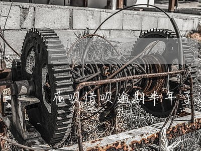 花呗借呗逾期半年了还可以吗 花呗借呗逾期半年了还可以吗
