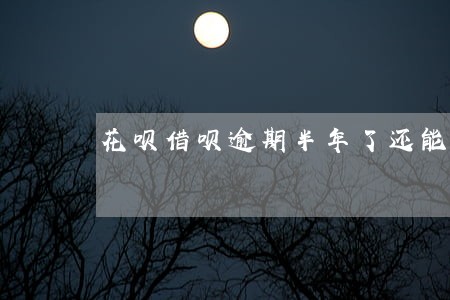 花呗借呗逾期半年了还能用吗 花呗借呗逾期半年了还能用吗