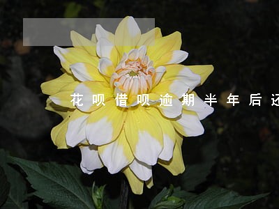花呗借呗逾期半年后还清 花呗借呗逾期半年后还清