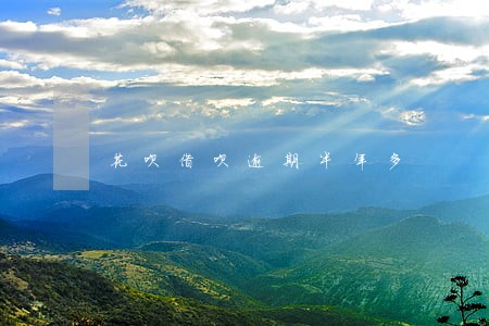 花呗借呗逾期半年多 花呗借呗逾期半年多
