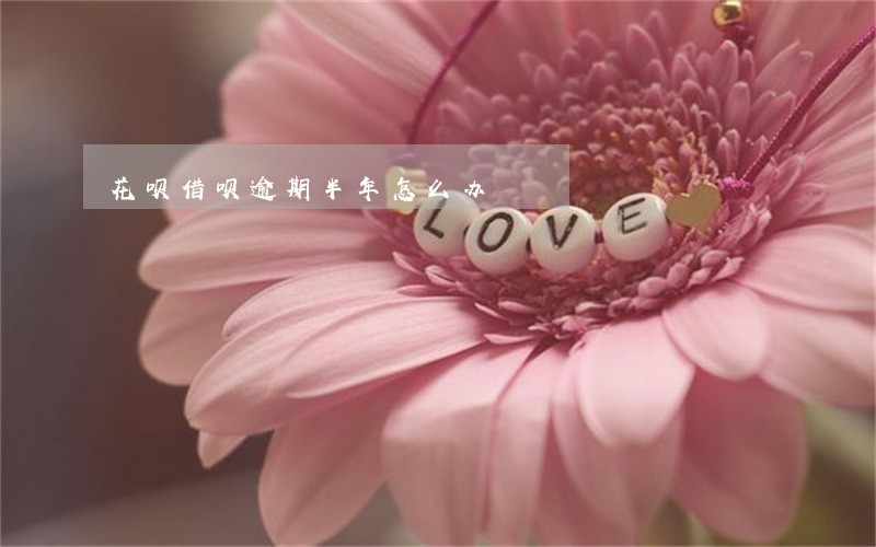 花呗借呗逾期半年怎么办 花呗借呗逾期半年怎么办