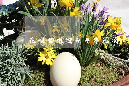 花呗借呗逾期半年还清 花呗借呗逾期半年还清