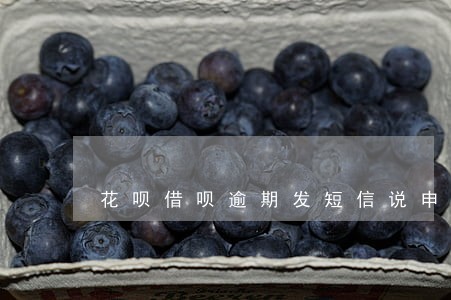花呗借呗逾期发短信说申请立案 花呗借呗逾期发短信说申请立案