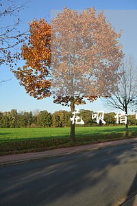 花呗借呗逾期发短信过来了