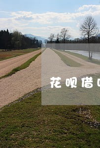 花呗借呗逾期可以协商 花呗借呗逾期可以协商