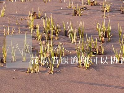 花呗借呗逾期可以协商解决不 花呗借呗逾期可以协商解决不