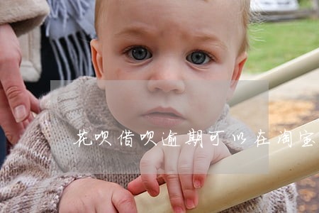 花呗借呗逾期可以在淘宝上购物吗 花呗借呗逾期可以在淘宝上购物吗