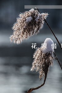 花呗借呗逾期可以报名云客服吗 花呗借呗逾期可以报名云客服吗