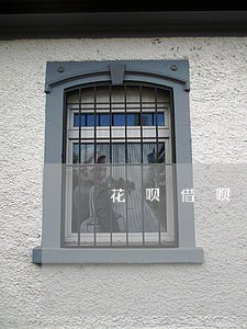 花呗借呗逾期可以用信用卡吗 花呗借呗逾期可以用信用卡吗