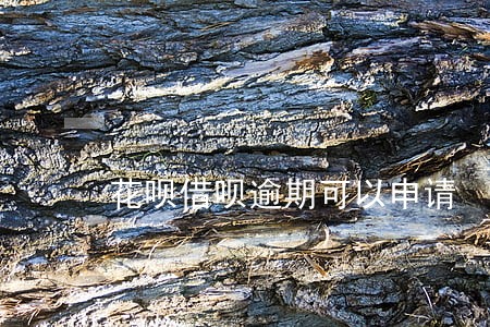 花呗借呗逾期可以申请 花呗借呗逾期可以申请