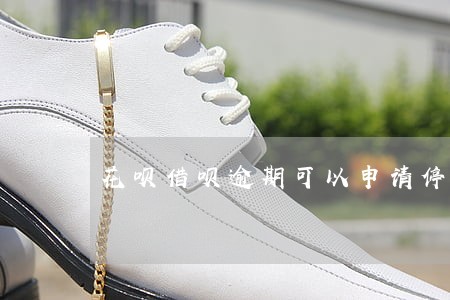 花呗借呗逾期可以申请停催吗 花呗借呗逾期可以申请停催吗