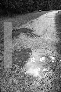 花呗借呗逾期可以跟官方协商吗