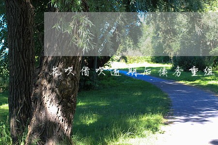 花呗借呗逾期后债务重组 花呗借呗逾期后债务重组