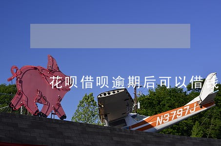 花呗借呗逾期后可以借钱吗 花呗借呗逾期后可以借钱吗
