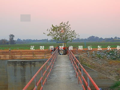 花呗借呗逾期后怎么恢复 花呗借呗逾期后怎么恢复