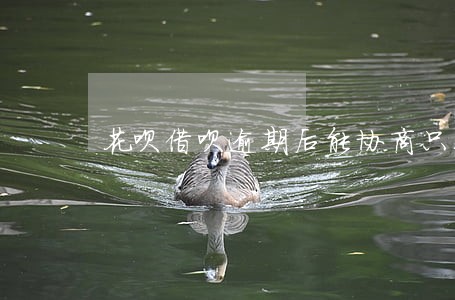 花呗借呗逾期后能协商只还本金吗 花呗借呗逾期后能协商只还本金吗