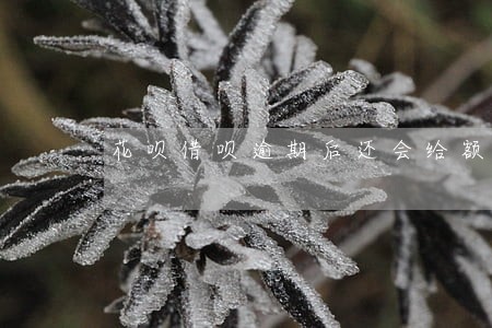 花呗借呗逾期后还会给额度吗 花呗借呗逾期后还会给额度吗