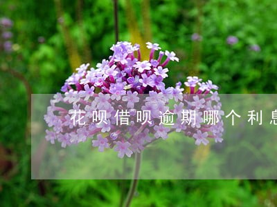 花呗借呗逾期哪个利息高 花呗借呗逾期哪个利息高
